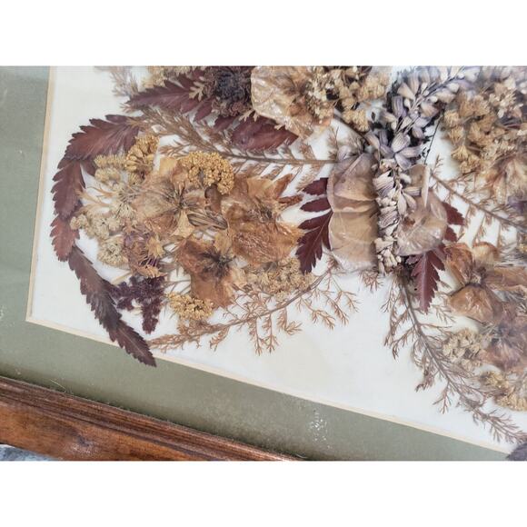 Vtg boho ROCCOCO FRAMED DRIED REAL FLOWER pressed butterfly wall art oddity - Picture 4 of 9